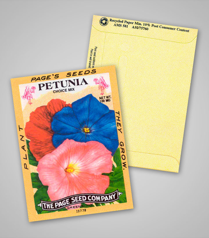 petunia_antique_design_pag.jpg