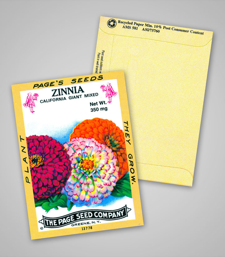 zinnia_antique_design_pag.jpg