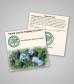 forget-me-not-square-packet