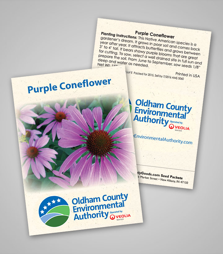 purple-coneflower_wal.jpg