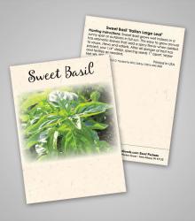 sweet-basil-ready-to-ship