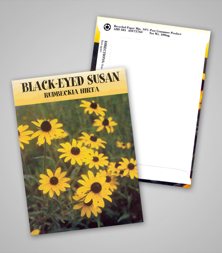 black-eyed-susan_traditional_pag.jpg