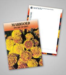 marigold_traditional_pag.jpg