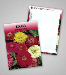 zinnia_traditional_pag.jpg