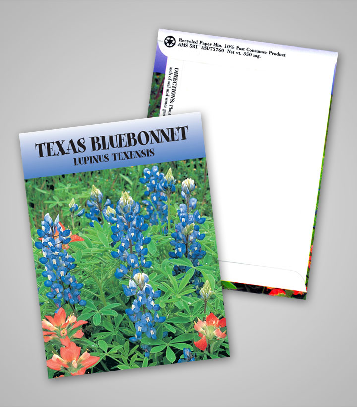 texas-bluebonnet_traditional_pag.jpg