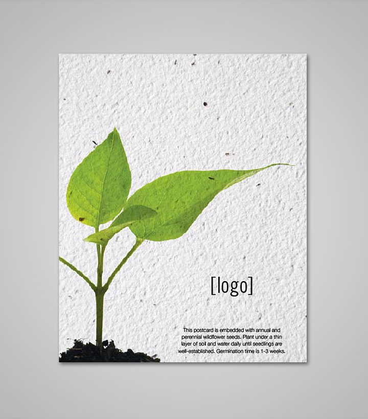 seed-paper-postcard-PSP-EW-E.jpg