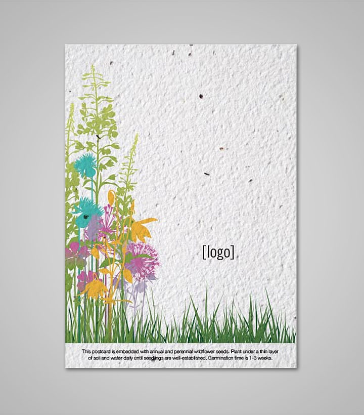 seed-paper-postcard-PSP-LARGE-EW-B.jpg