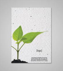 seed-paper-postcard-PSP-LARGE-EW-E.jpg
