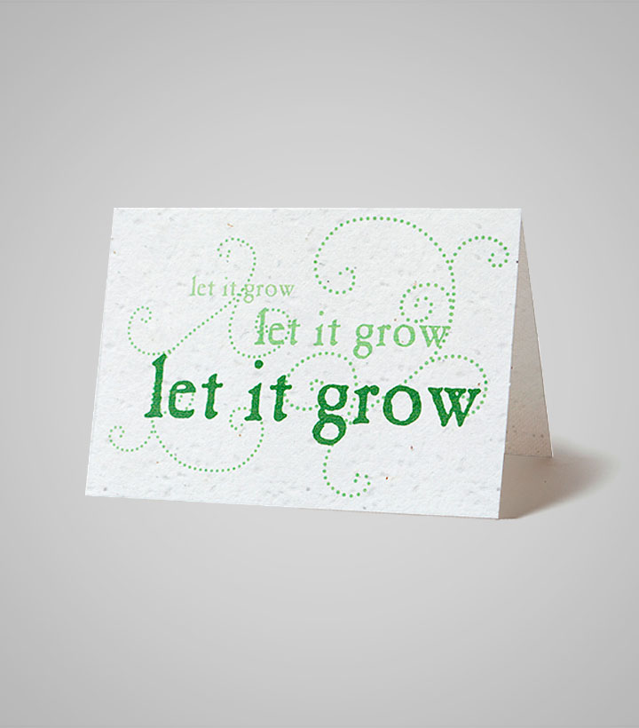 seed-paper-card-PSC-4.375x6.125-B.jpg