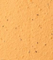 desert_orange.jpg
