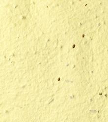 light_yellow.jpg