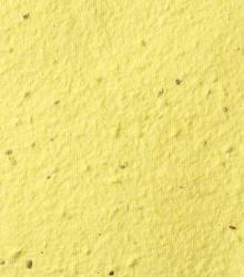 yellow.jpg