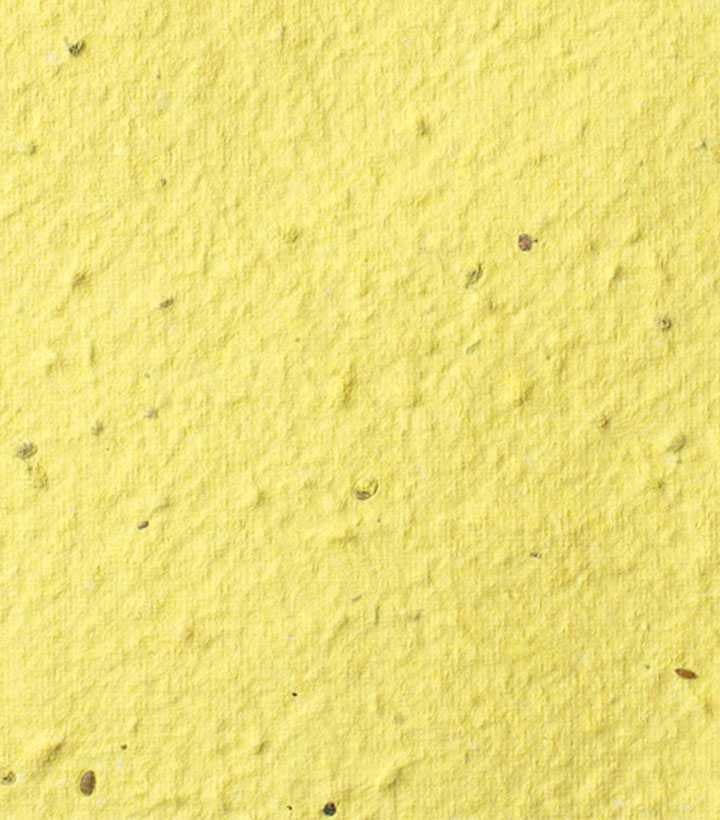 Premium Seed Paper Colors - Yellow - 8.5x11