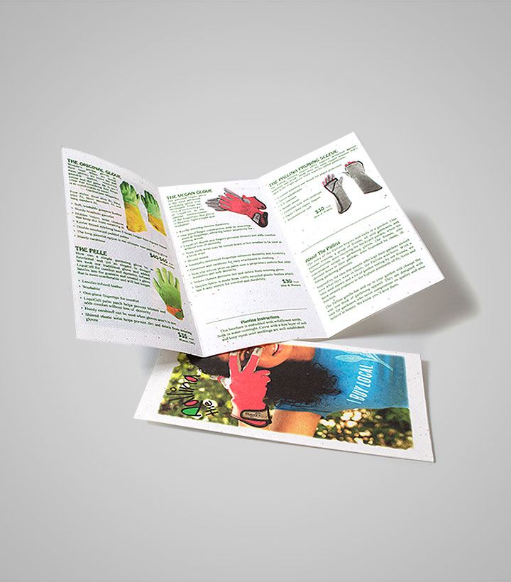 PSBRO-seed-paper-brochure.jpg