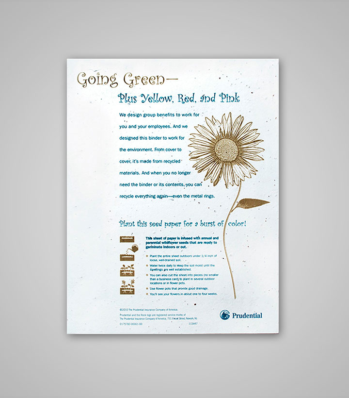PSFLY-seed-paper-flyer.jpg