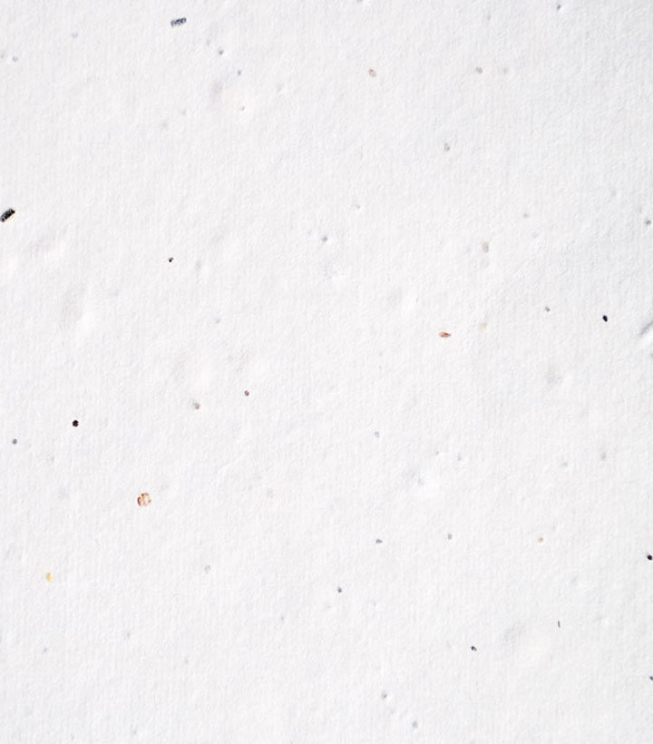ECOnomy Offset Printable Seed Paper