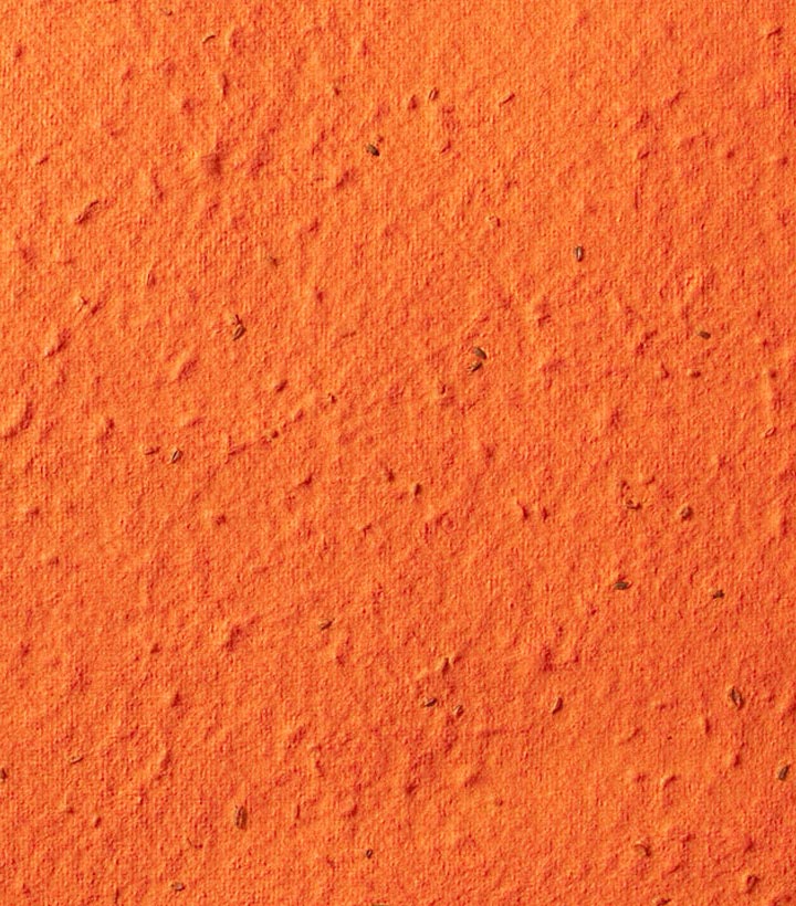 original-carrot-seed-paper.jpg