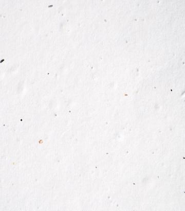 eco-nomy-seed-paper.jpg