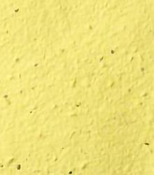 blank-sheets-seed-paper-pollinator-yellow