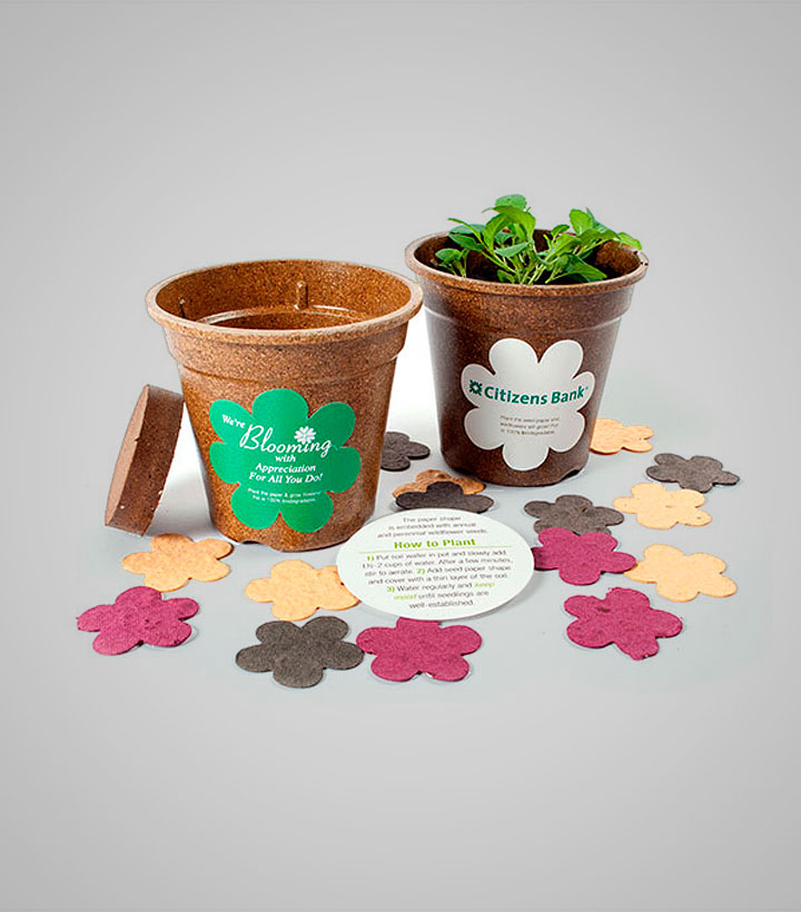 seed-paper-flower-confetti-planting-kit-CFPK-B.jpg