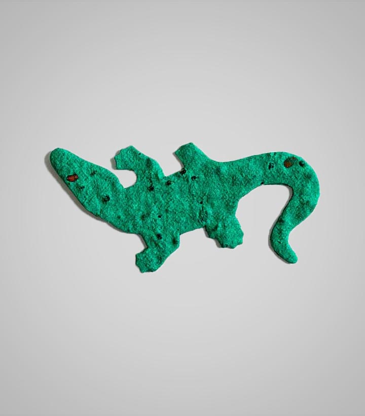shape-Alligator.jpg