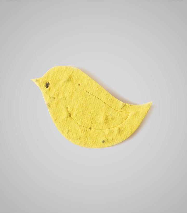 shape-Bird-1.jpg