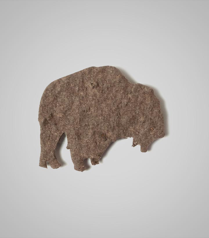 shape-Buffalo.jpg