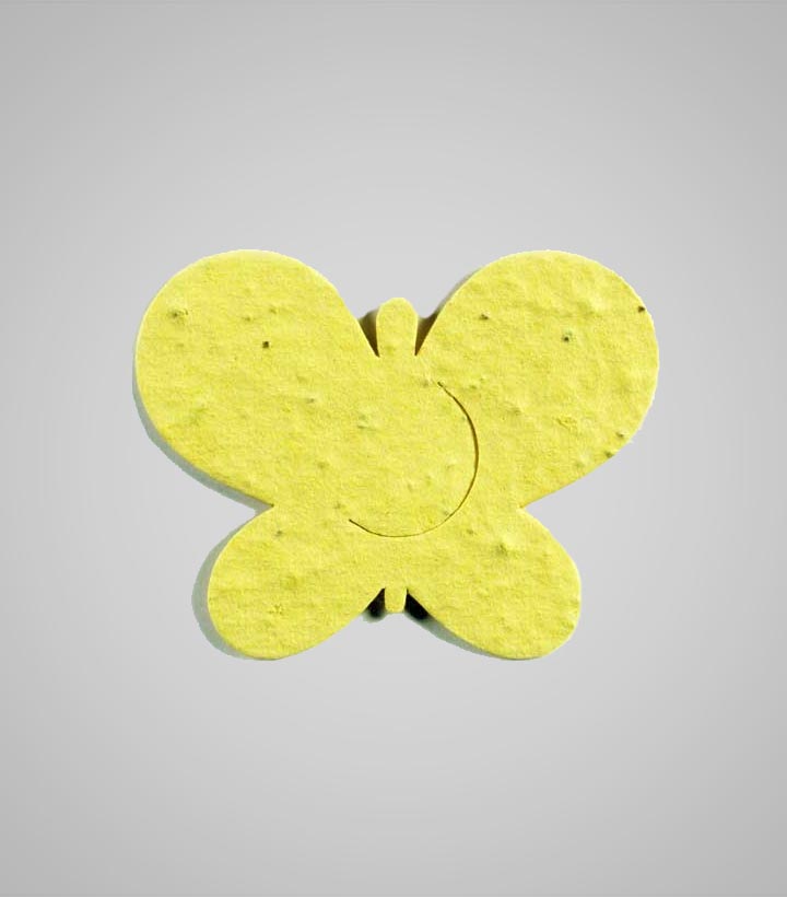shape-Butterfly-1.jpg