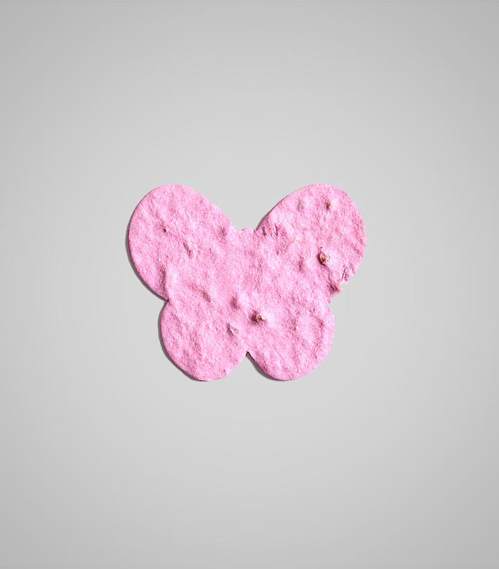 shape-Butterfly-5.jpg