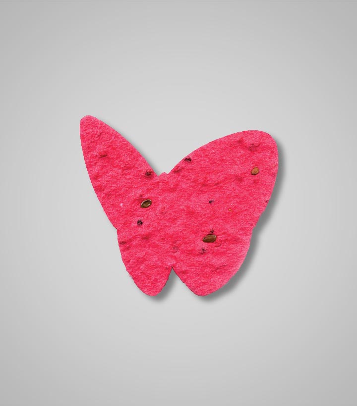 shape-Butterfly-6.jpg