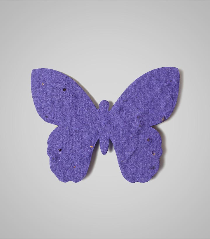 shape-Butterfly-7.jpg