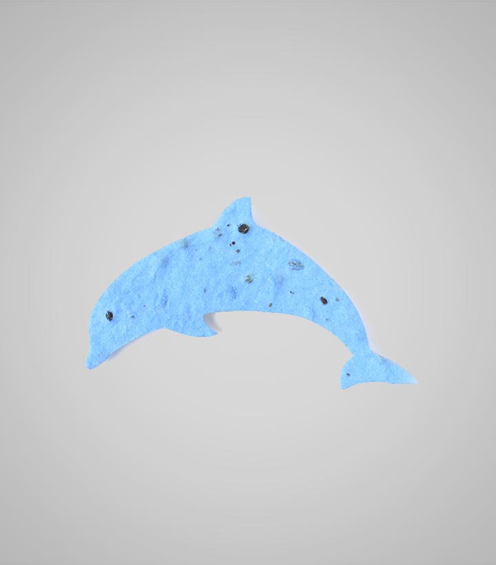 shape-Dolphin.jpg