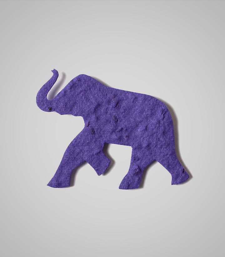 shape-Elephant.jpg