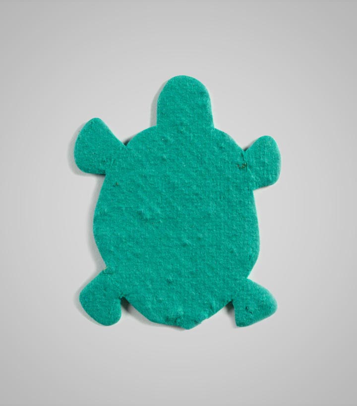 shape-Turtle.jpg