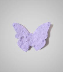 shape-Butterfly-4.jpg