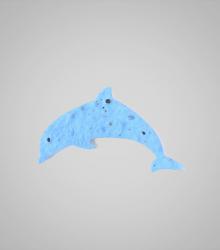 shape-Dolphin.jpg