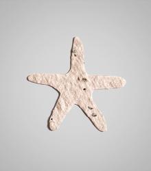 shape-Starfish.jpg