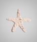 shape-Starfish.jpg