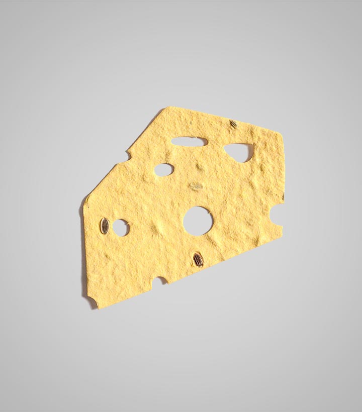 shape-Cheese.jpg