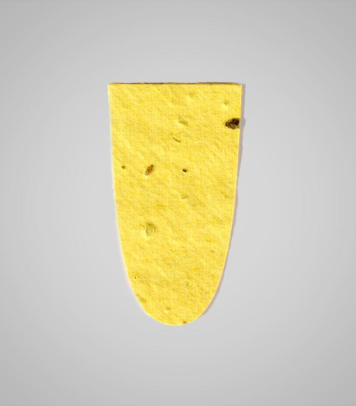 shape-Cup.jpg