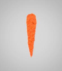 shape-Carrot.jpg