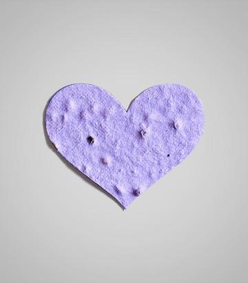 shape-Heart-5.jpg