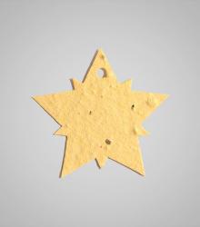 shape-Star-2.jpg