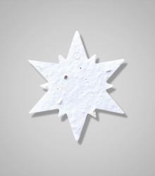 shapes-Snowflake-1.jpg