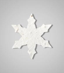 shapes-Snowflake-3.jpg