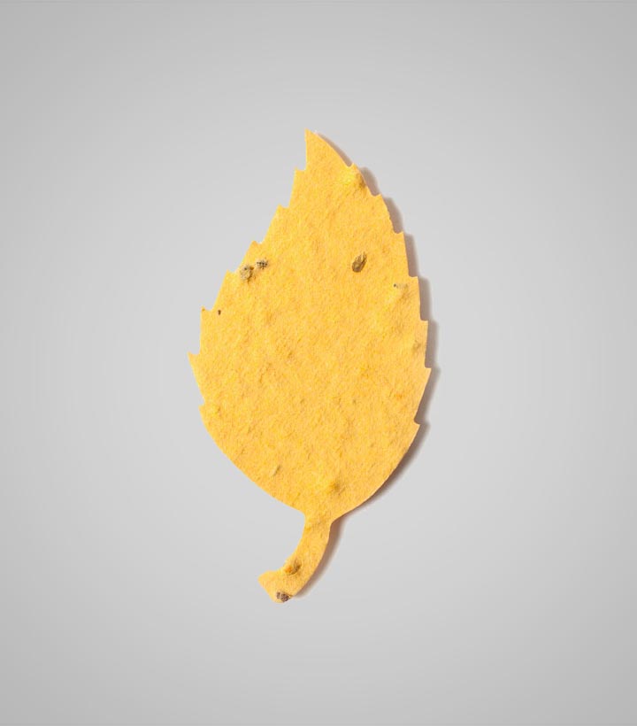 shapes-Aspen-Leaf-1.jpg