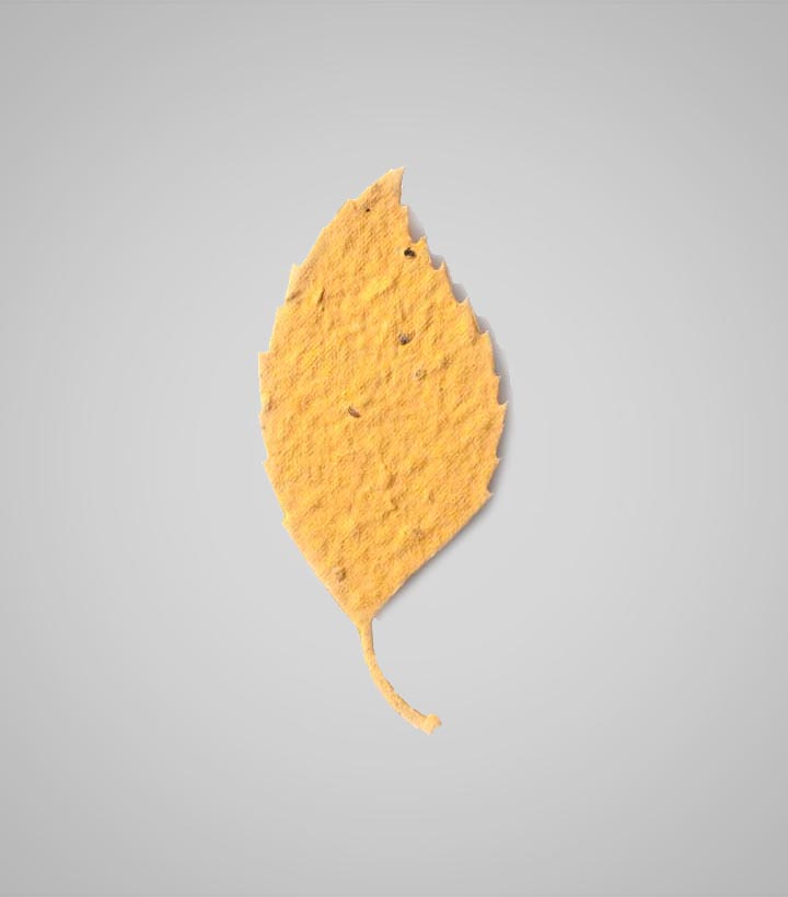 shapes-Aspen-Leaf-2.jpg