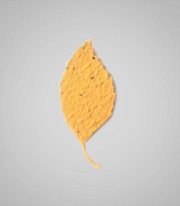 shapes-Aspen-Leaf-2.jpg