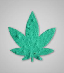 shape-Hemp-Leaf