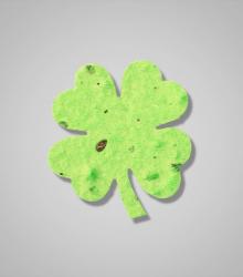 shapes-Clover-Leaf-2.jpg